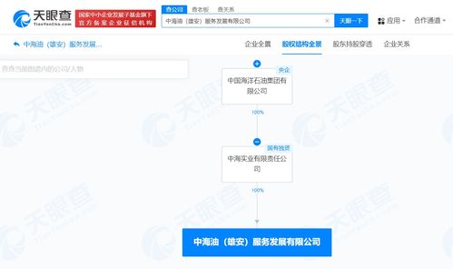 中國海油在雄安成立服務發(fā)展公司，注冊資本1億聚焦網(wǎng)絡技術服務